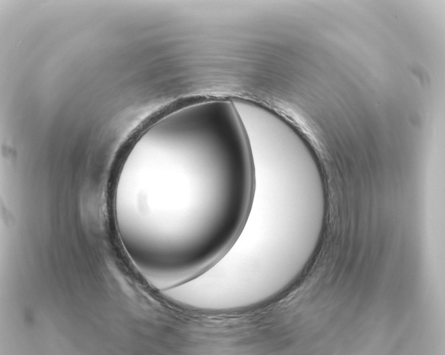X0000091240532200708091133