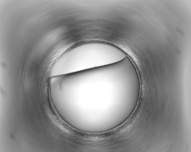X0000091240533200708091133