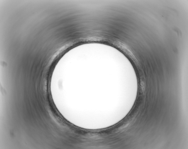 X0000091240534200708091133