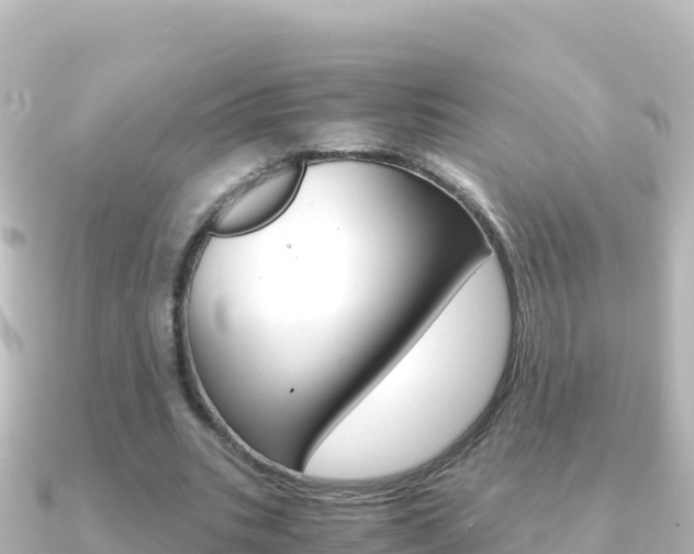 X0000091240535200708091133