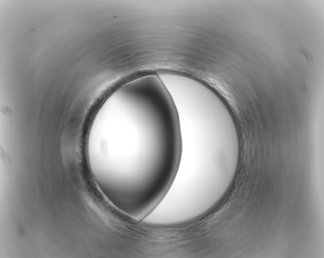 X0000091240536200708091133