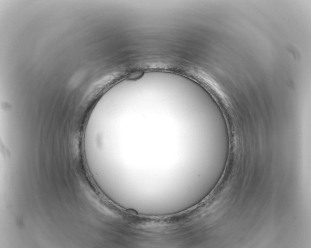 X0000091240537200708091133