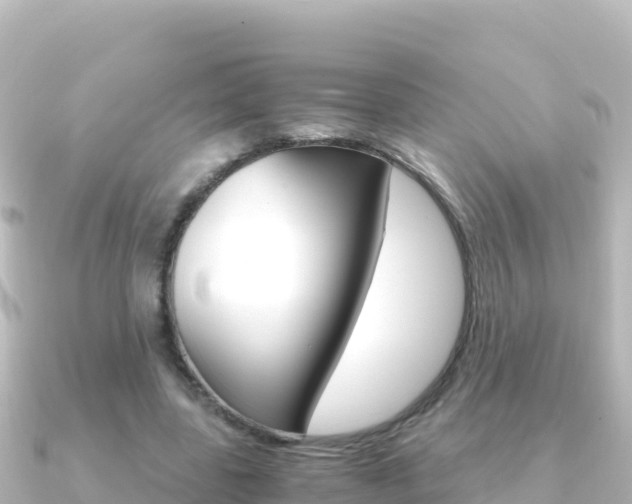 X0000091240539200708091133