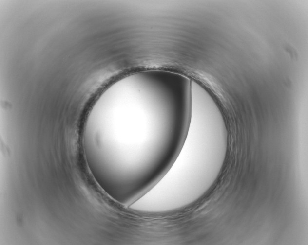 X0000091240540200708091133