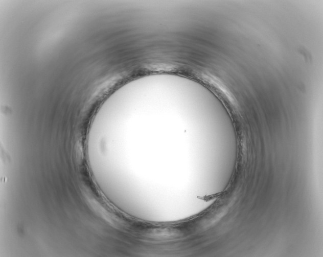 X0000091240541200708091133