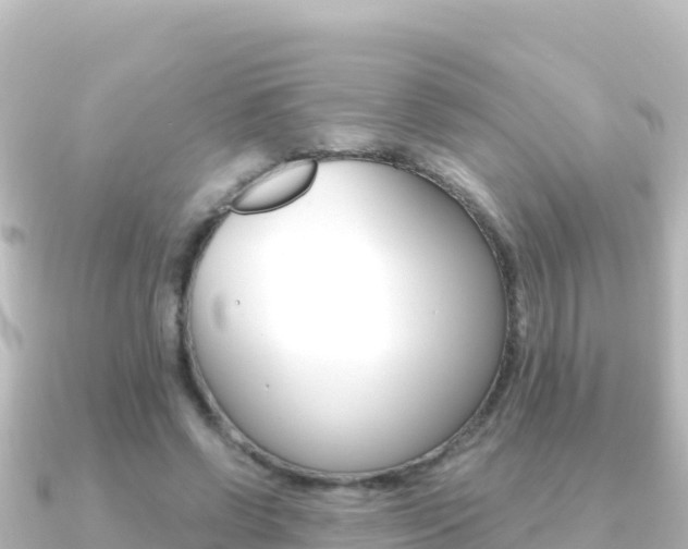X0000091240542200708091133