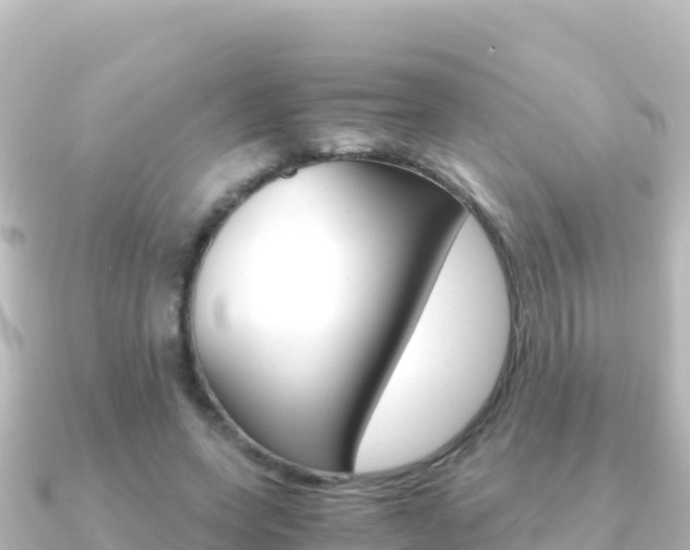 X0000091240543200708091133