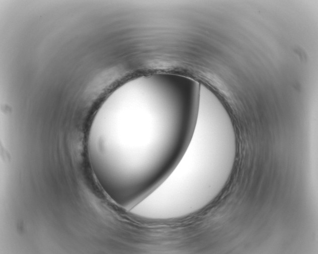 X0000091240544200708091133