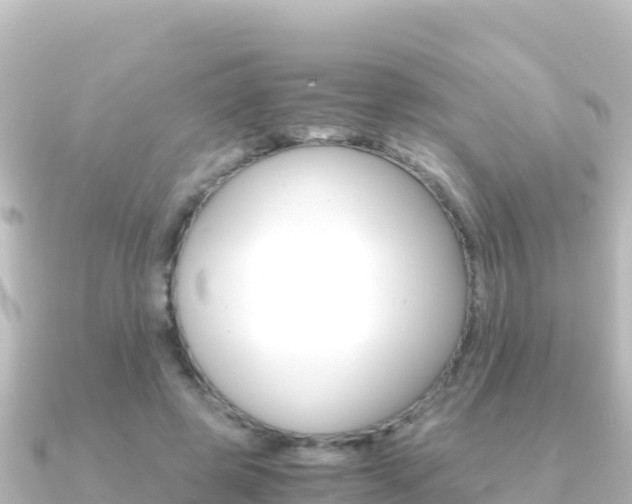 X0000091240545200708091133