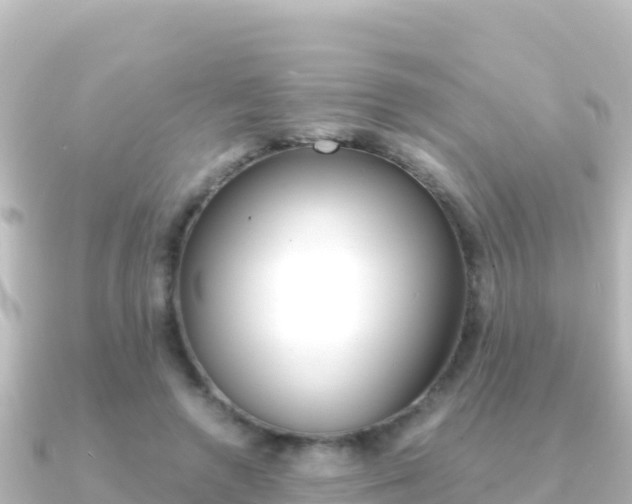X0000091240546200708091133