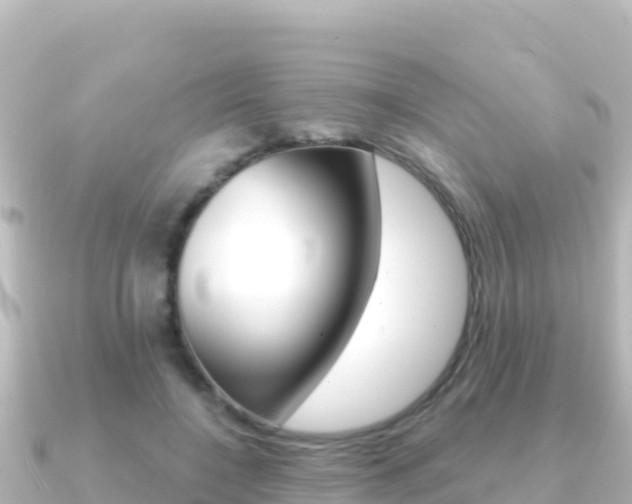 X0000091240548200708091133