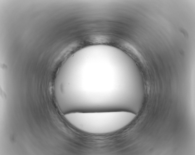 X0000091240549200708091133