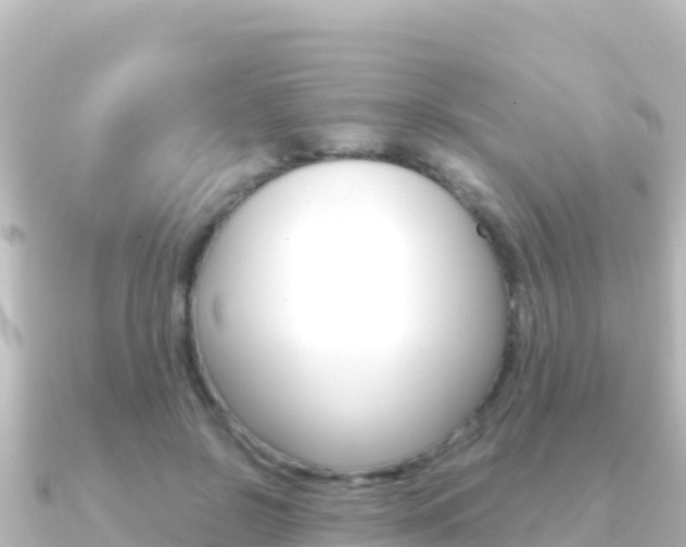 X0000091240550200708091133