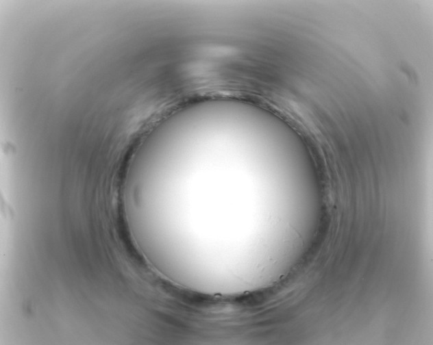 X0000091240551200708091133