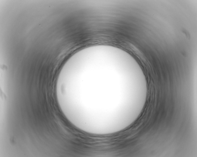 X0000091240552200708091133