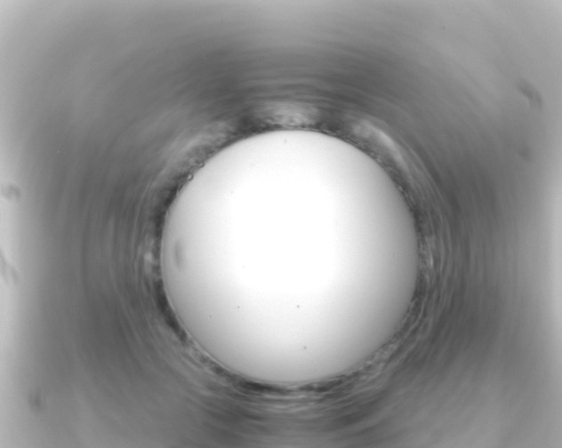 X0000091240553200708091133