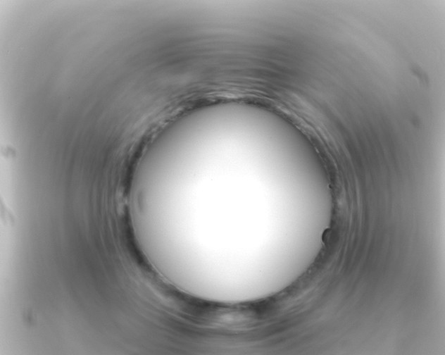 X0000091240555200708091133