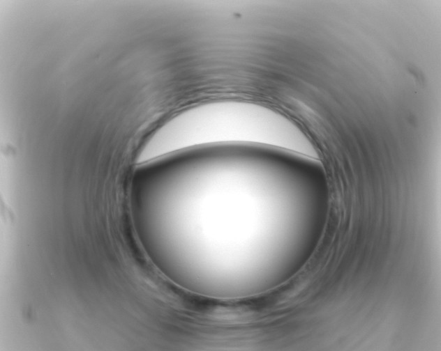 X0000091240556200708091133