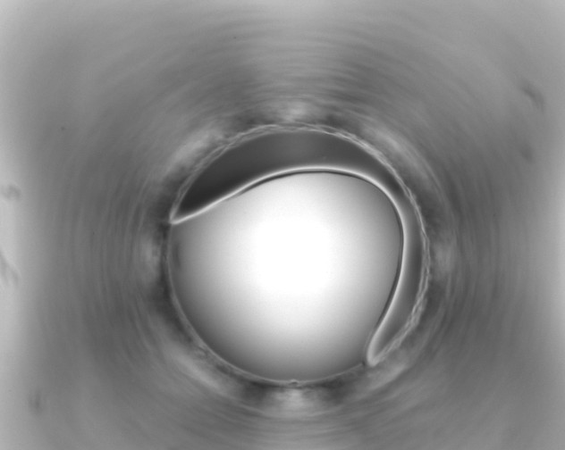 X0000091240558200708091133