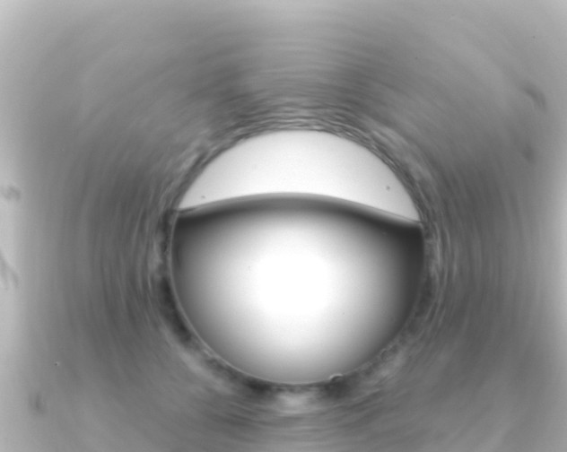 X0000091240560200708091133