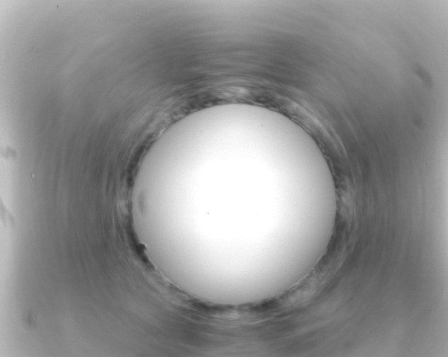 X0000091240561200708091133