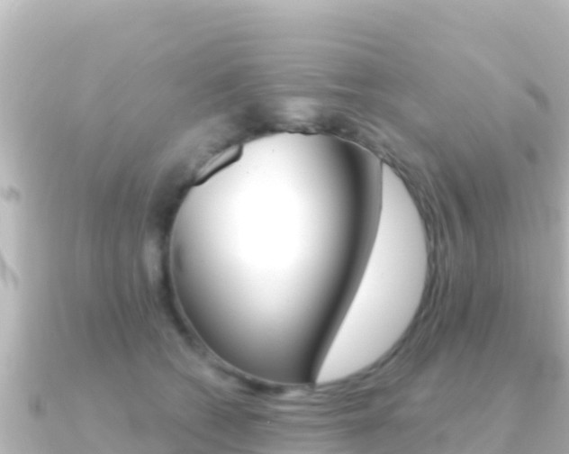 X0000091240562200708091133