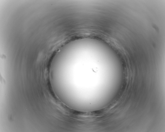 X0000091240563200708091133