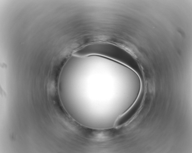 X0000091240564200708091133
