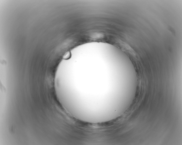 X0000091240565200708091133