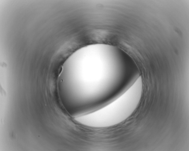X0000091240566200708091133