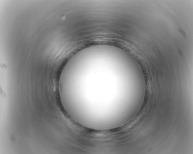 X0000091240567200708091133
