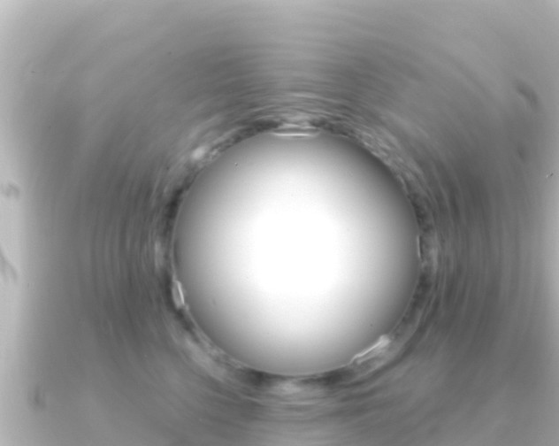 X0000091240568200708091133