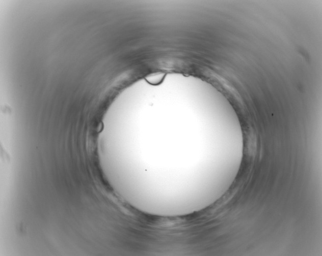 X0000091240569200708091133