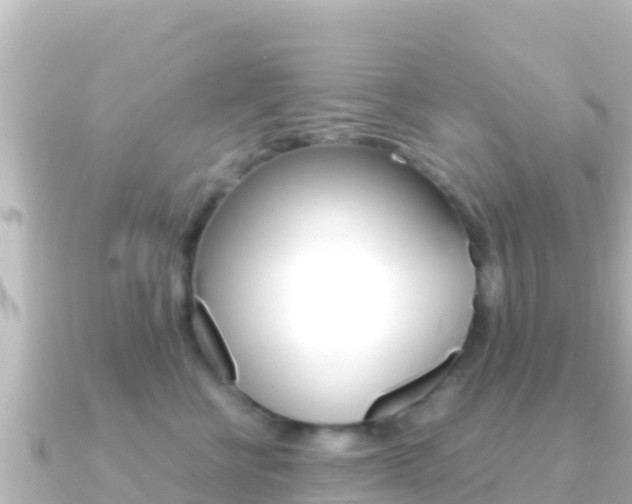 X0000091240570200708091133