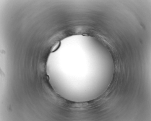 X0000091240571200708091133