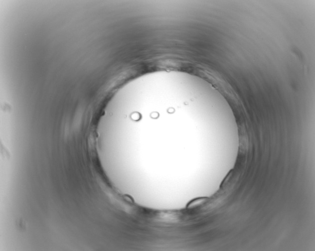 X0000091240573200708091133