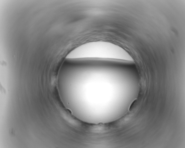 X0000091240574200708091133