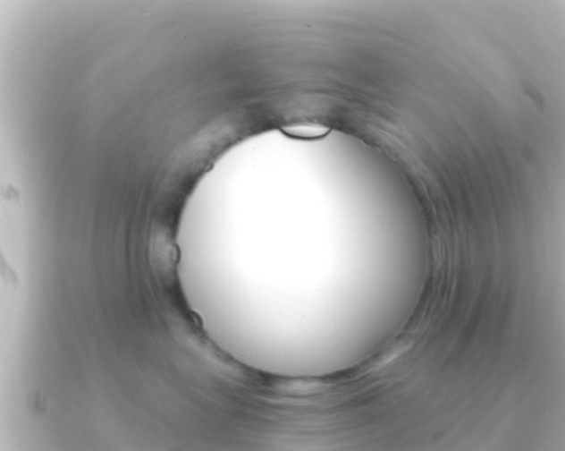 X0000091240575200708091133
