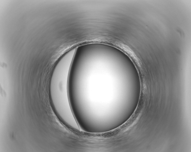 X0000091240577200708091132