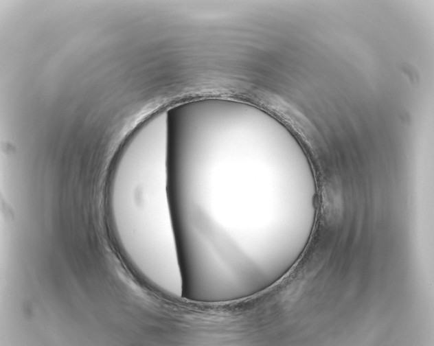 X0000091240578200708091132