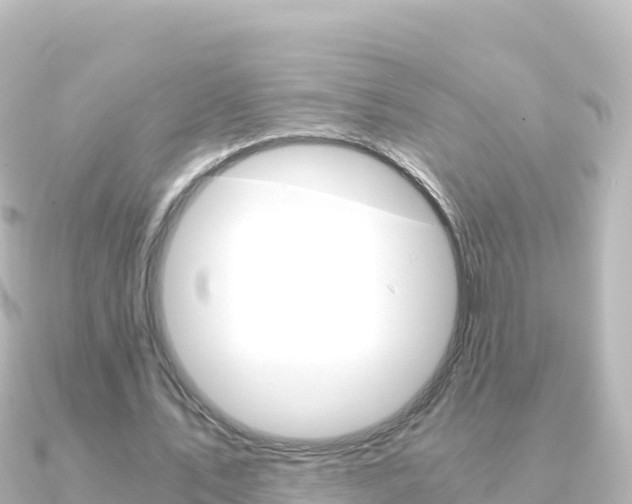X0000091240579200708091132