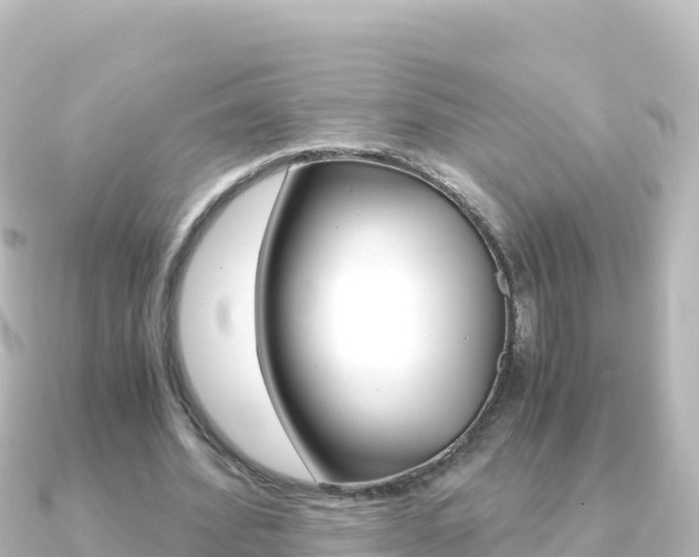 X0000091240580200708091132