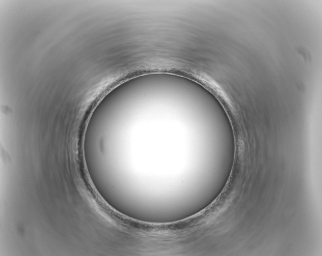 X0000091240581200708091132