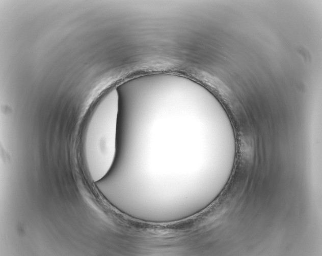 X0000091240582200708091132