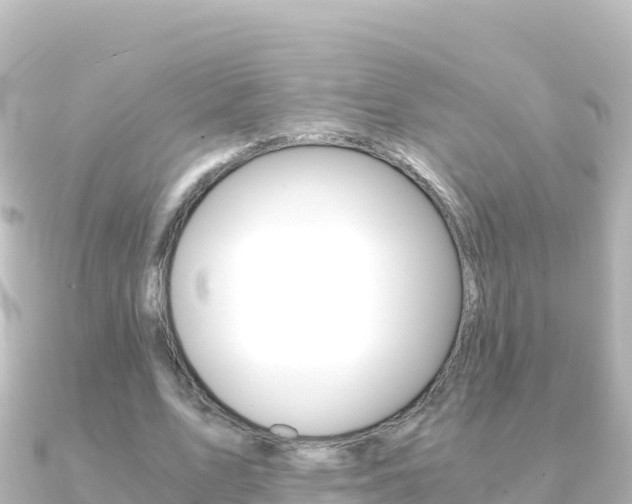 X0000091240583200708091132