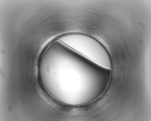 X0000091240584200708091132
