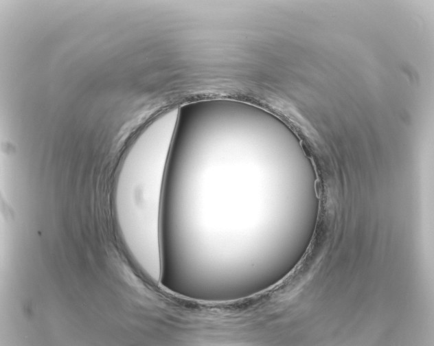 X0000091240585200708091132
