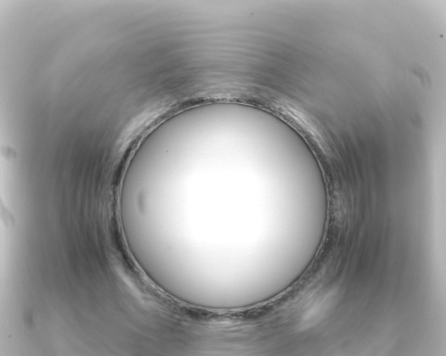 X0000091240586200708091132