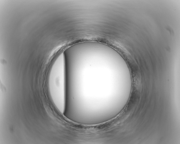 X0000091240587200708091132