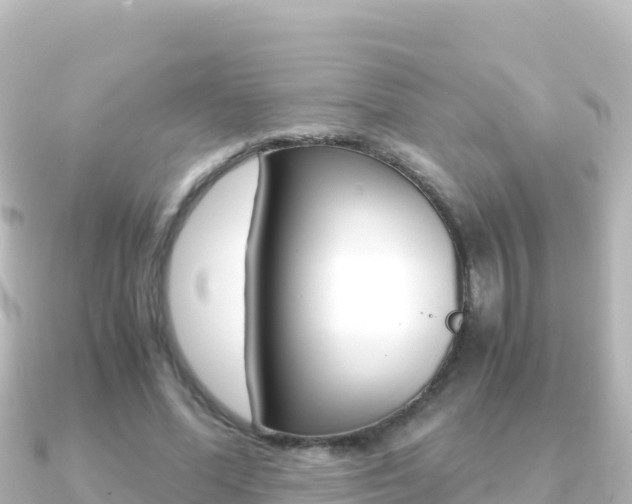 X0000091240588200708091132